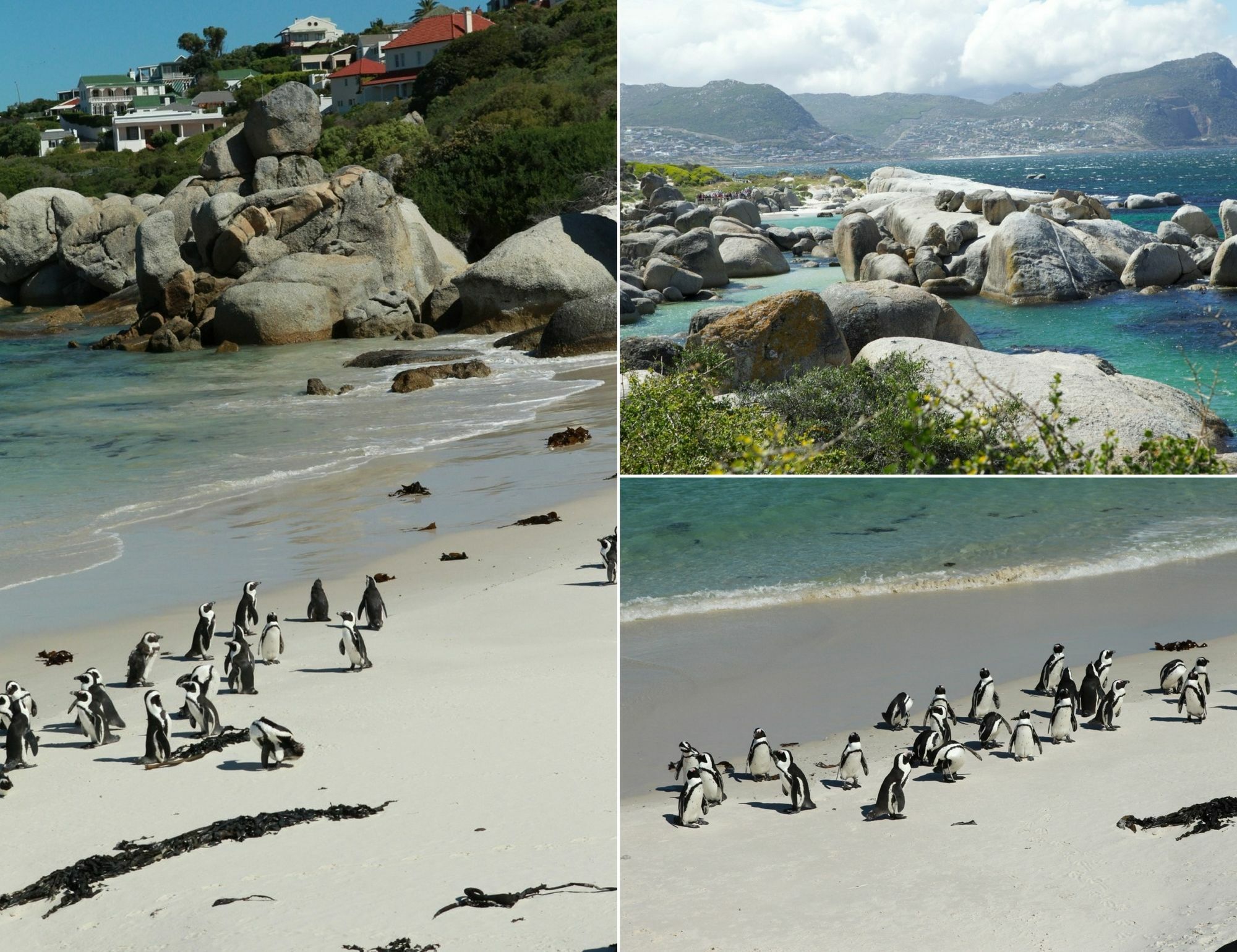 Mariner Guesthouse & Villa Simonʼs Town Екстериор снимка